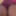 covo_sissy_cross 