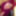 Cosplay Sexy Hot Blowjob with Funny Faces of a Teen Redhead  #40