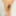 Hot & Sexy Photos xHamster 