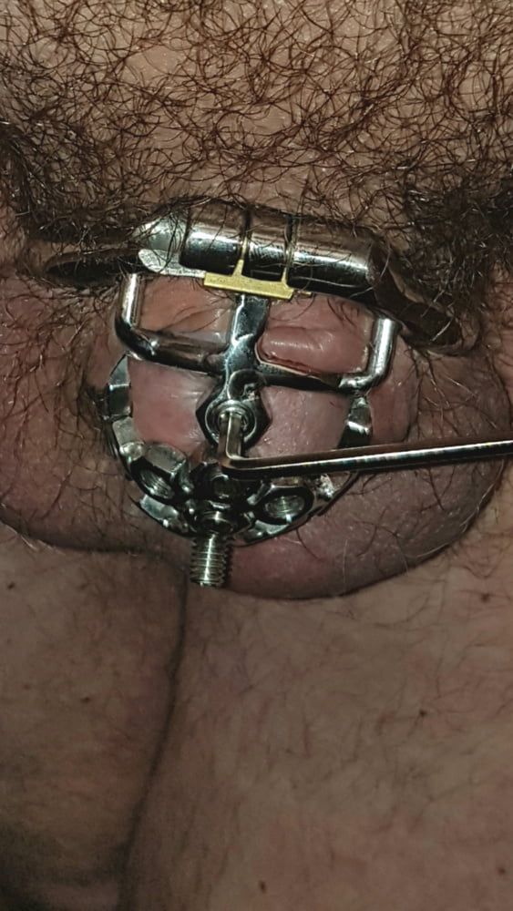My best chastity cage #5