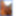 &lt;textarea name=&quot;description&quot; placeholder=&quot;Beschrijving (in h