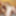 Private german swinger ganbgang with 3 girls &amp; 22 men - 2 #41