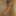 Kinky beauty masturbates in the shower for me #17