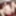 Maki Hojo Becomes a Muse 