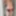 culottes dentelles
