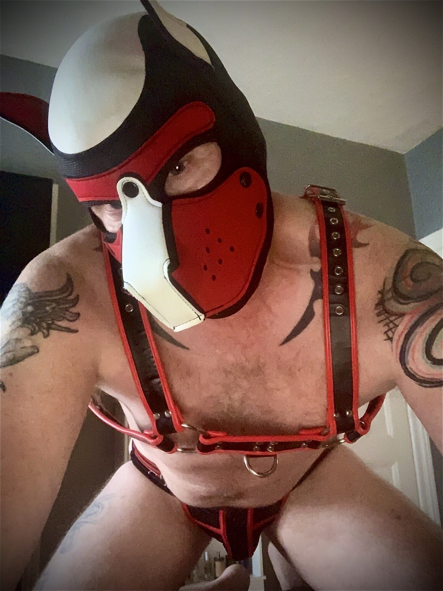 Sub pup yearning  for an Alpha #4