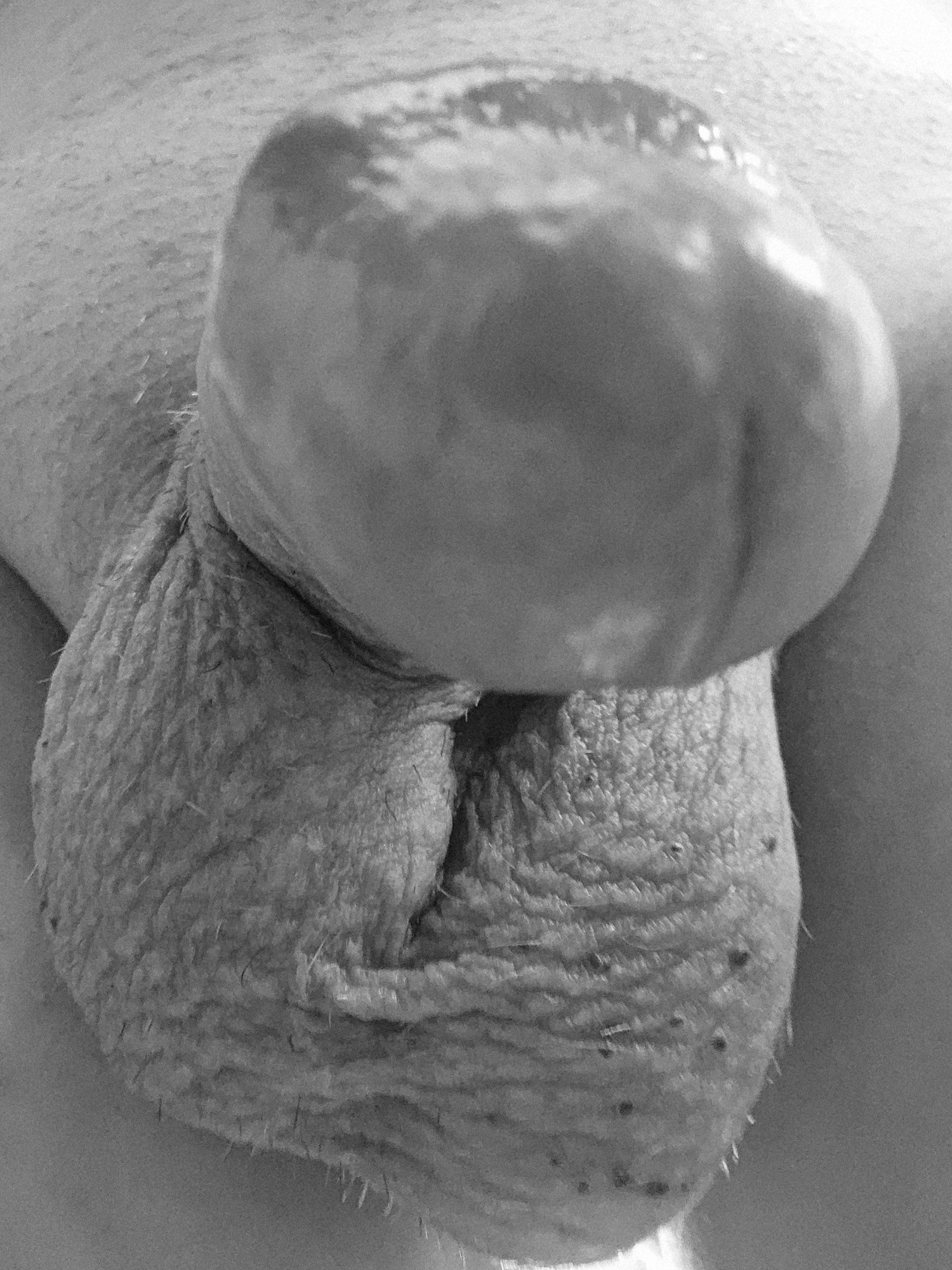 Penis 😍