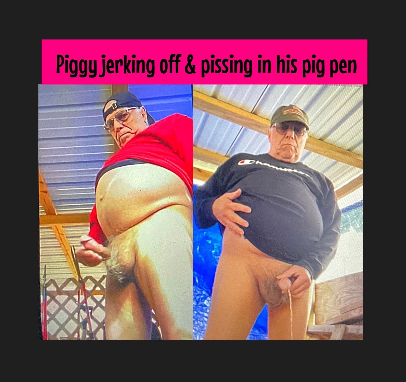 The pig jerking and pissing