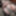 FEMOUT.XXX: Brand New Bella Sky #3