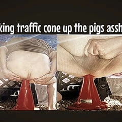 Piggy