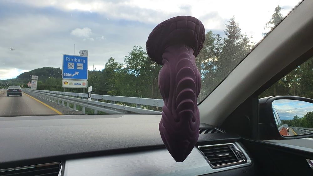 Roadtrip with Bad Dragon Apollo XL #5