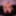 Brat Gifs 2