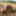 Anna naked on straw bales ... #8