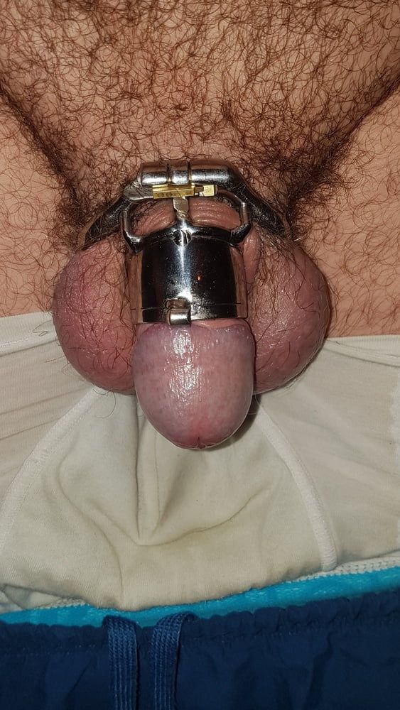 Chastity cage #53