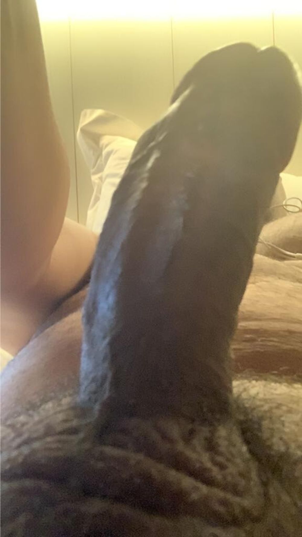 Cock #6