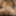 hairy maik masturbates his big hairy cock #2