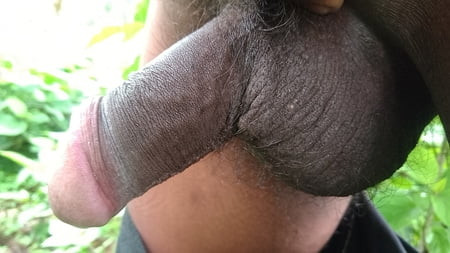 My little Black cock 