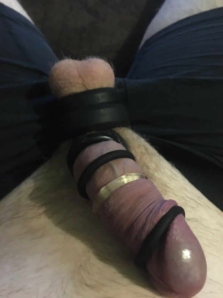 Tied Up Cock And Balls with Rings #18