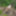 Young wife undresses and walks naked in the forest park #9