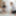 ONLY TARTS - Shock Content new scene PART 1