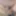 My Rich Dick without Erection and without hair removal - 01 #3