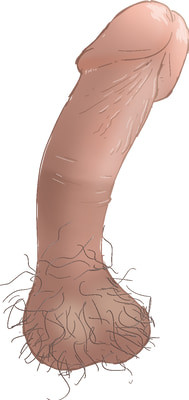 Drawing of my big cock #2