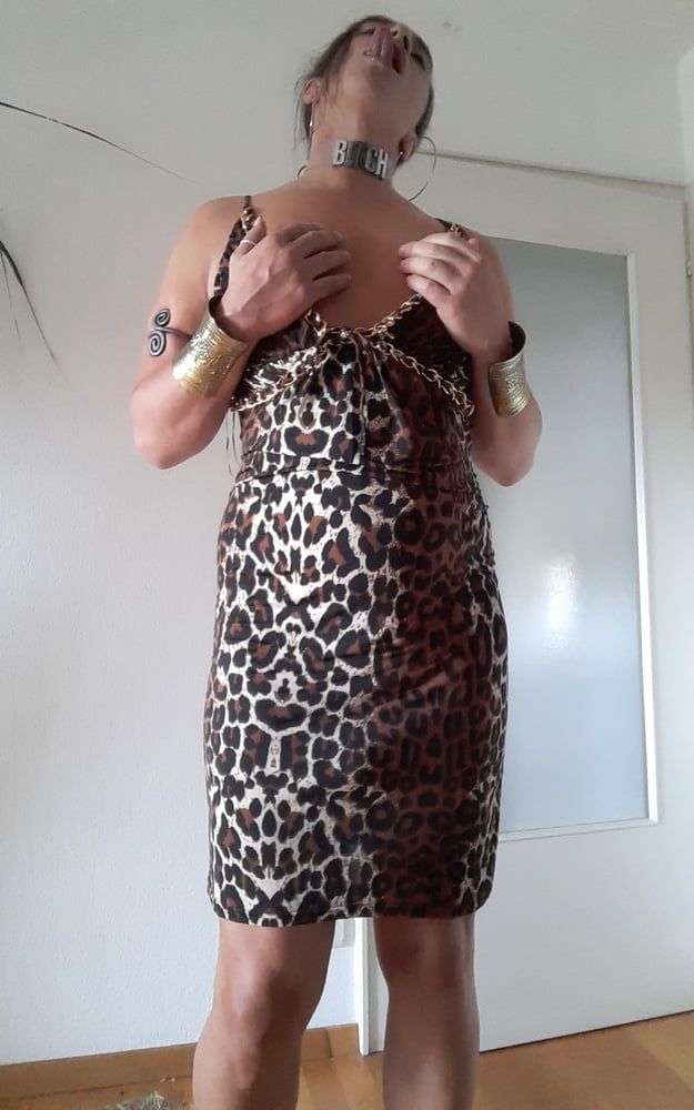 Tygra slut in leopard dress for Longdick Jack. #2