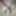 My hot dick new pics