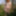 Flashing in the woods Stockings and Suspenders #48