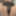 Panty Haul from behind in girls thongs sexy 
