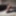 Jasmine&#039;s 2022 pictures