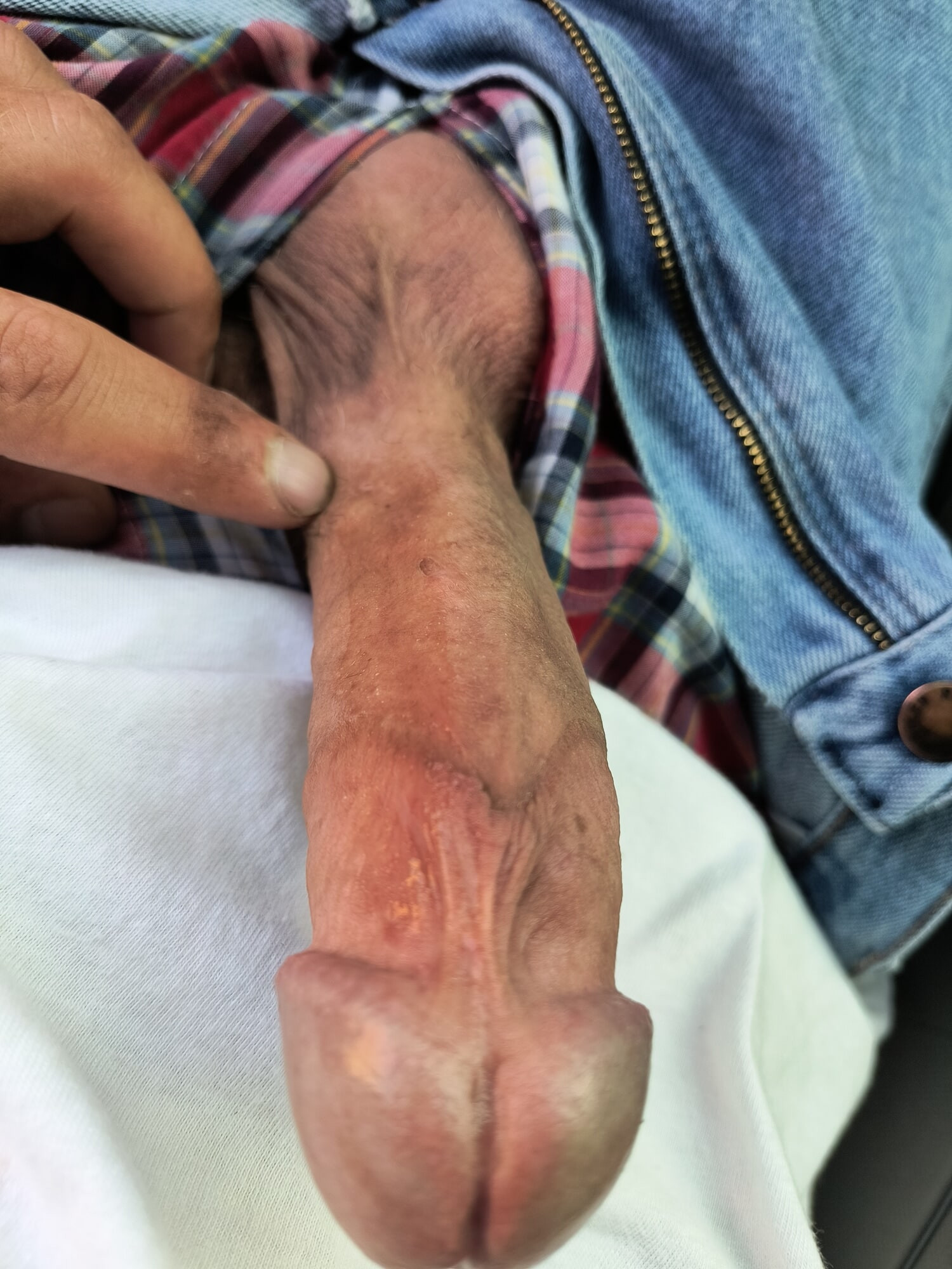 Long hard white dick