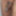 mandatory weighing and cagecheck of 12.03.2023