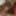 Big black dick in BBW pussy