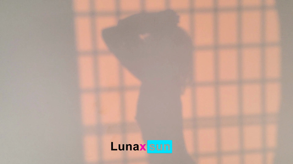 Luna's Daily Vlog #31