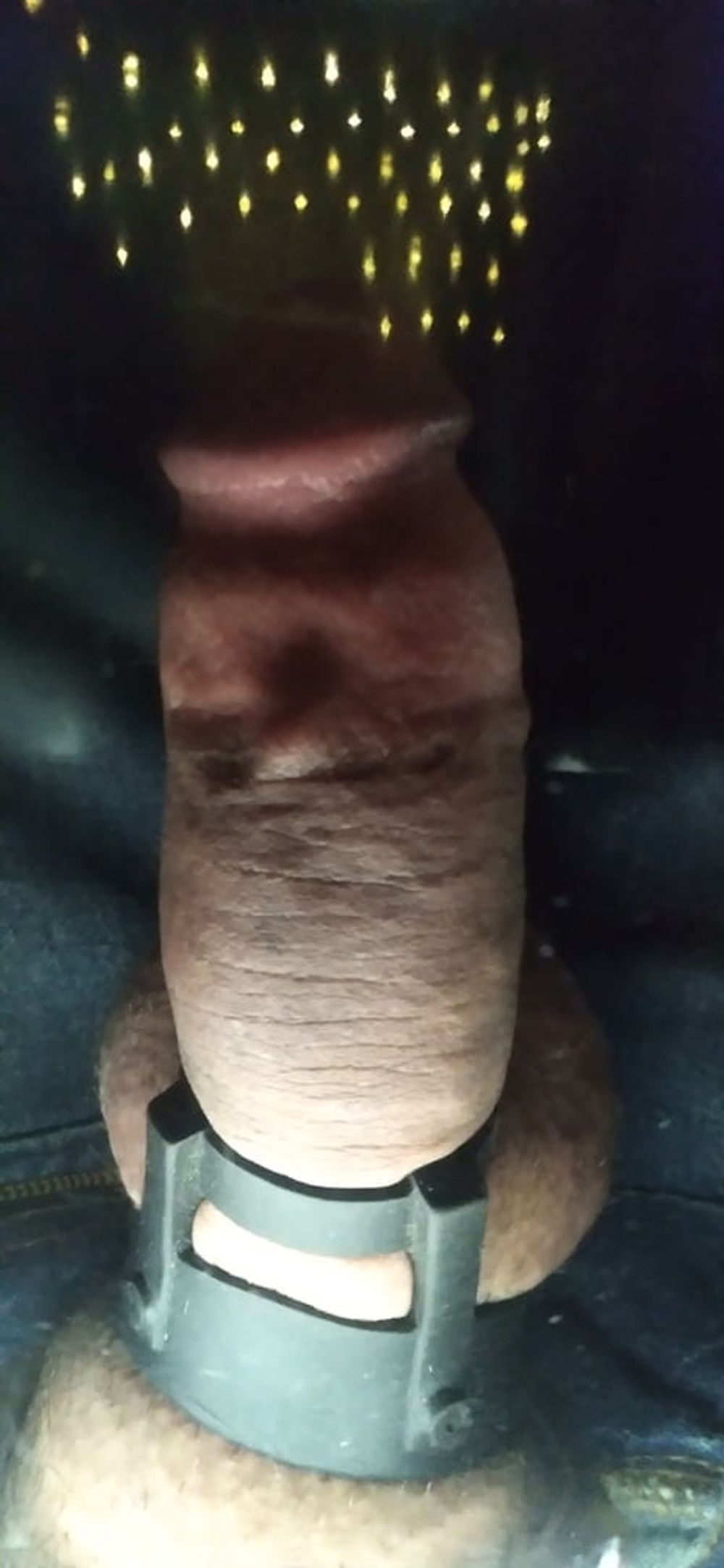 Cock #2