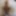 Mixed Photos Mr & Mrs Chonk