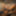 BDSM slave MKsubtility Real BDSM lifestyle couple 247 #4