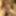 Dildo games as well as oil games horny #8