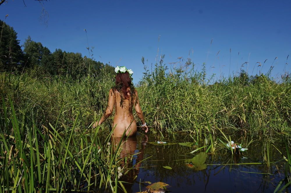  In Pond with Waterflowers 2 #32