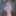 Tributes From XHAMSTER Members!!