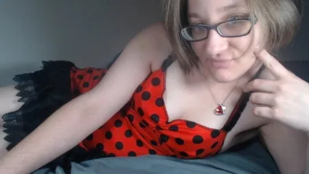 ladybug         