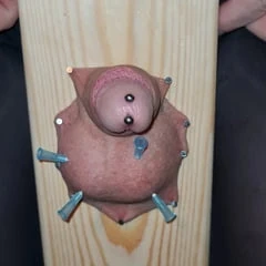 Cock piercing 