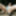 Upskirt Nude in Public
