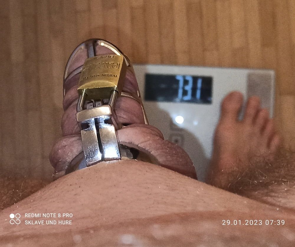 Naked weighing with cockcage and clamps 