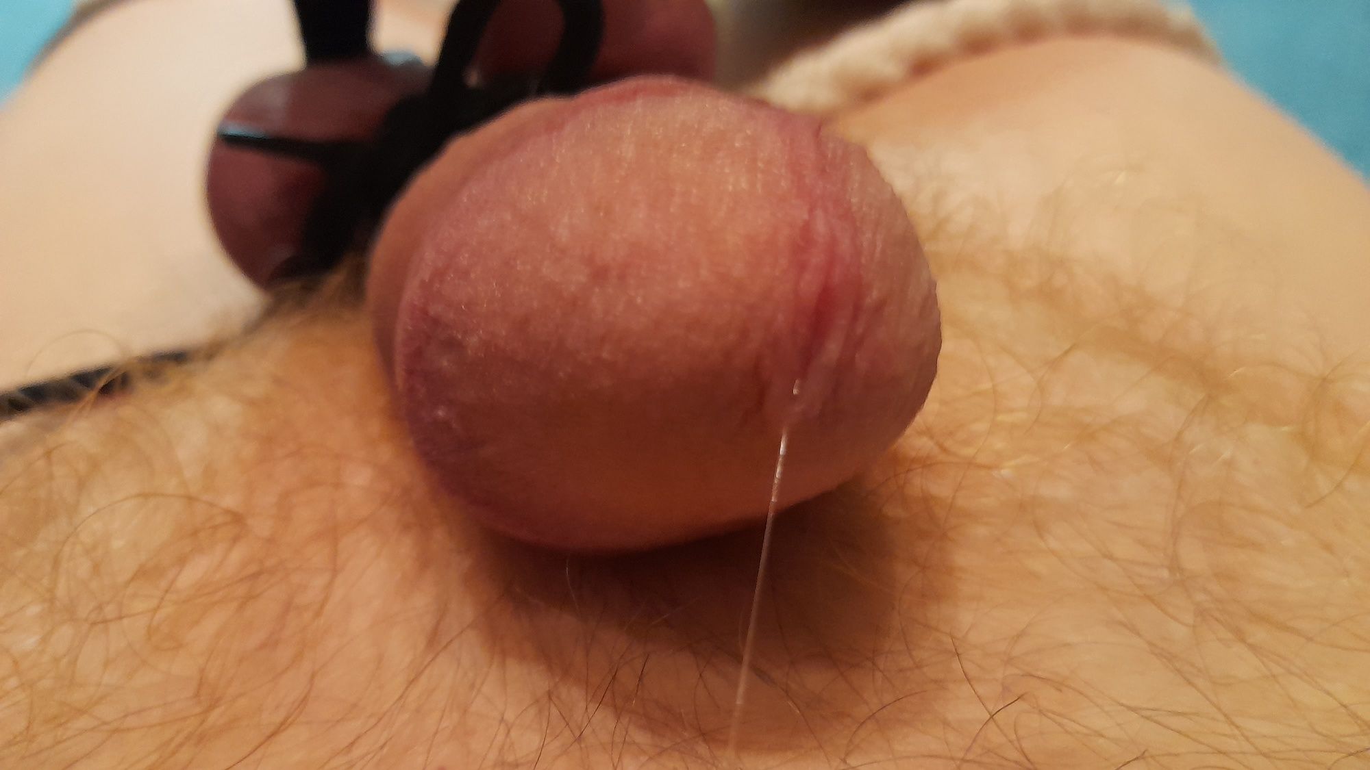many pics of my cock #42