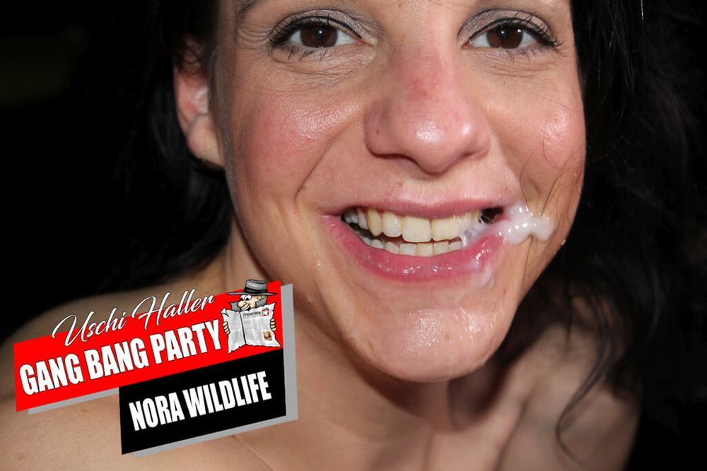 Mixed pics from the gangbang party with Nora Wildlife