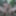 Tygra naked in the woods #46