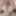 Free Lilly Photos 2