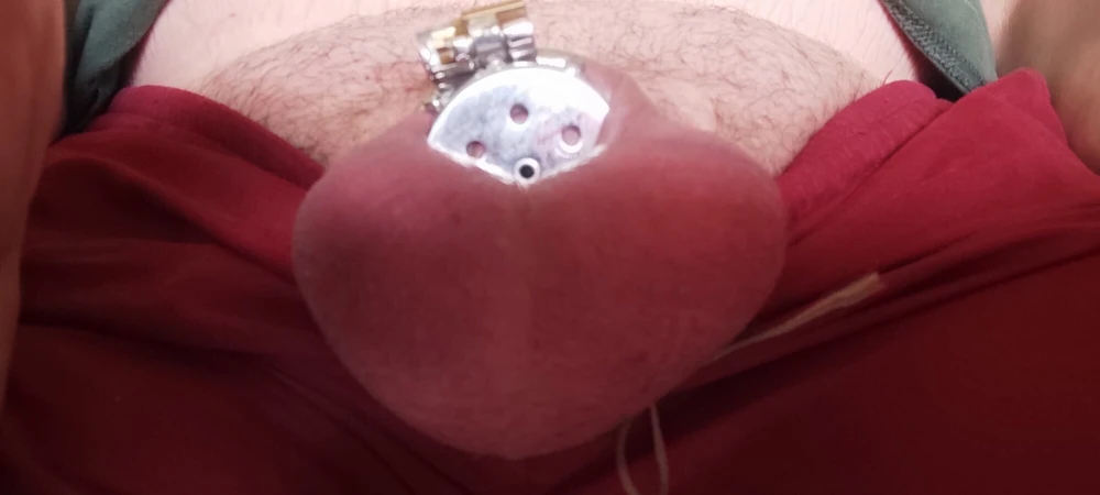 small chastity #2